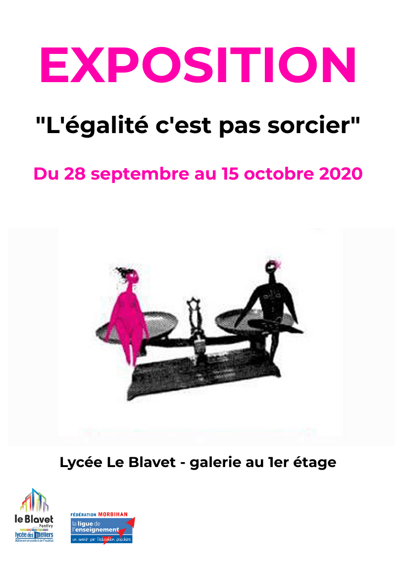 Affiche l'égalité c'est pas sorcier